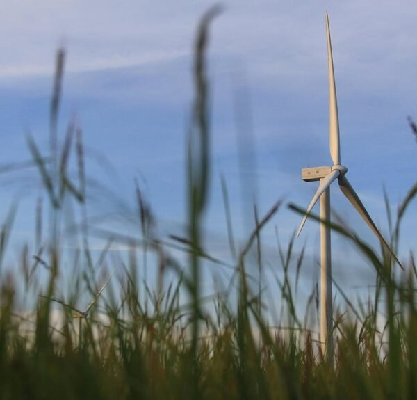 Modern Tech Solutions 8096124819 Growth