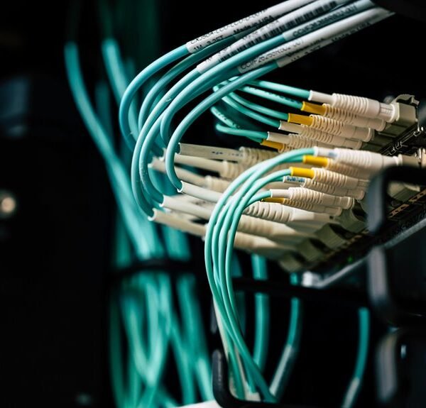 dynamic cloud network suite