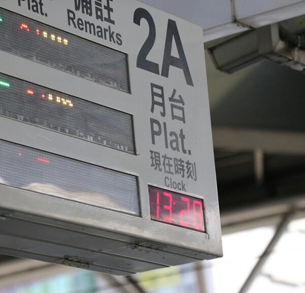 next level online platform